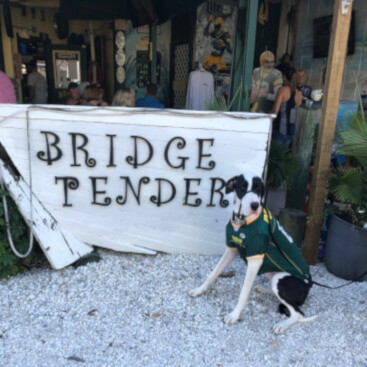 Dog at the Bridge Tender Inn
