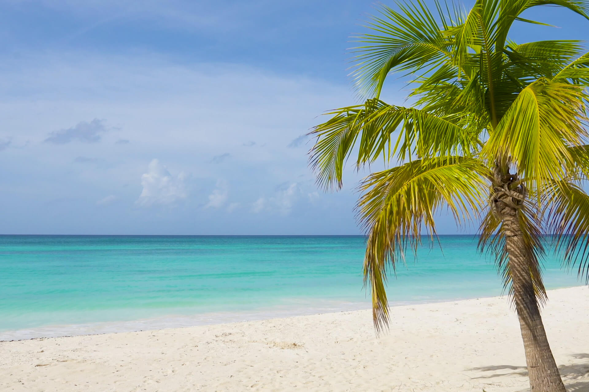 Anna Maria Island Vacation Rentals | Island Dreams Realty