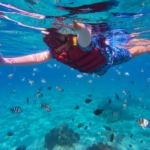 Snorkeling Anna Maria Island