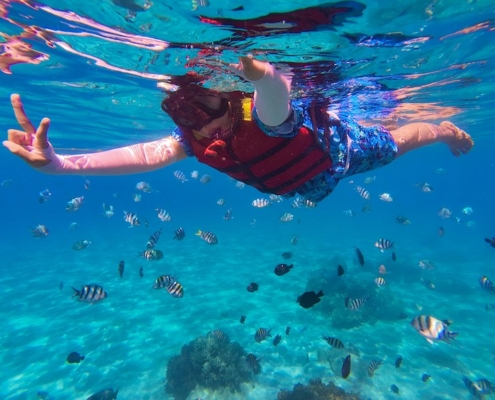 Snorkeling Anna Maria Island