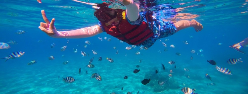 Snorkeling Anna Maria Island