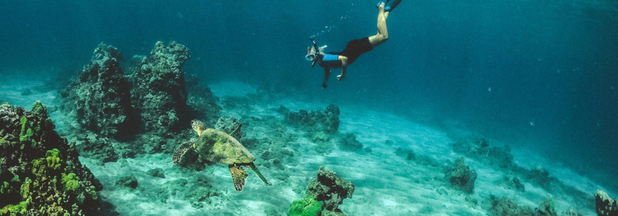 things to do anna maria island